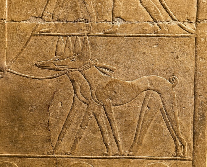 Рельеф из гробницы Мерерука, изображающий двух собак на поводке, около 2345-2333 годов до н.э. Фото: bing.com.