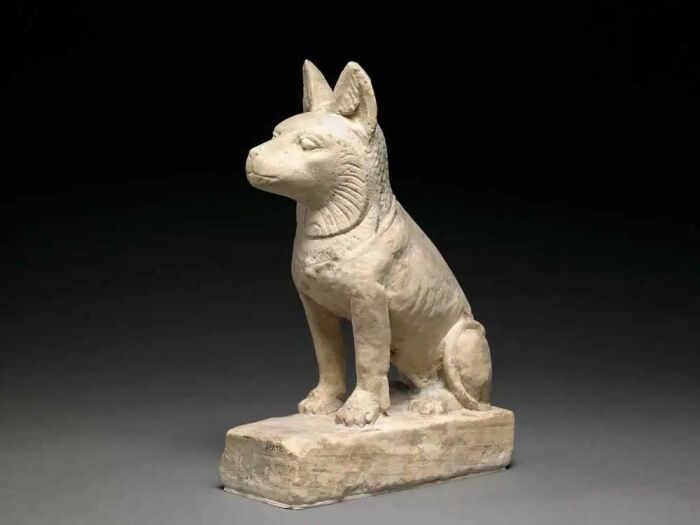 Известняковый шакал или собака на постаменте, в ошейнике с подвеской, первый век до н.э. – второй век н.э. Фото: bing.com.