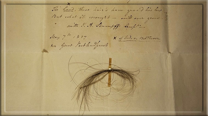 Прядь Штумпфа, из которой был секвенирован весь геном Бетховена, с надписью бывшего владельца Патрика Стирлинга.