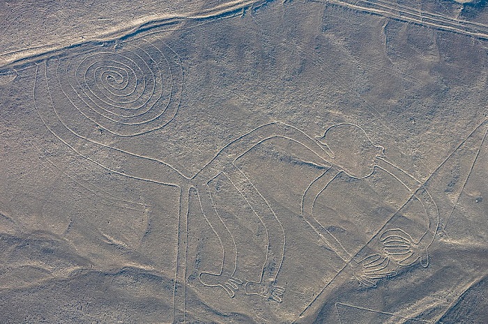 Геоглиф в виде огромной обезьяны, плато Наска. Источник: commons.wikimedia.org