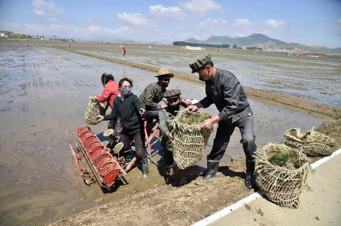 Фотография фермеров в Северной Корее. Фото: amazonaws.com.