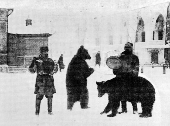 Александр II запретил медвежий промысел. /Фото: i.pinimg.com