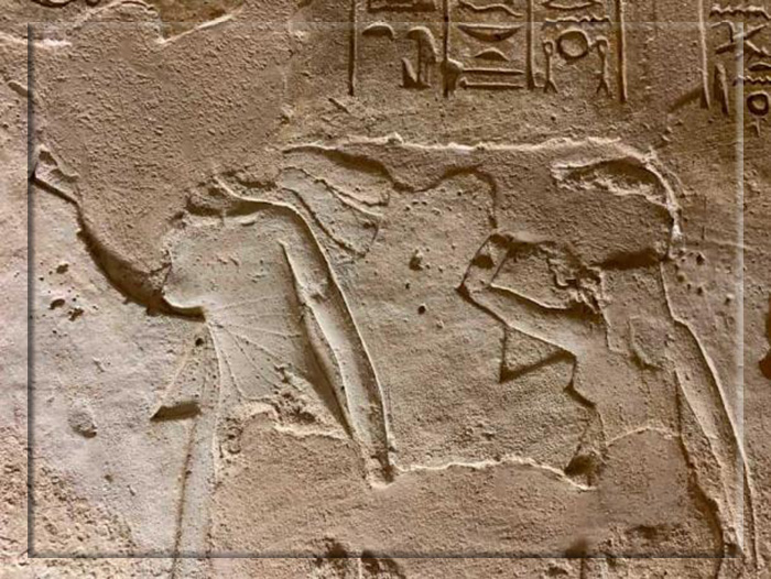 Крупный план рисунка, на котором изображены Нефертити (слева) и её старшая дочь Меритатен. Они явно в трауре, так как посыпают голову пеплом на египетский манер, чтобы показать глубину своего горя.