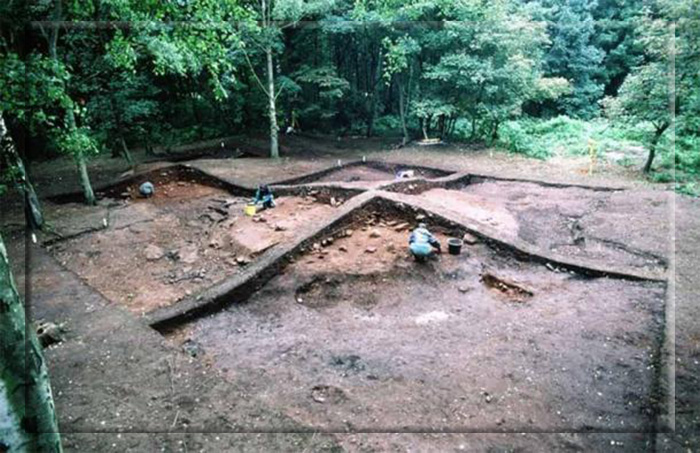 Одна из 59 курганных могил, предположительно принадлежащих кладбищу Великой армии викингов в Хит-Вуде, изображена на фотографии 2006 года.