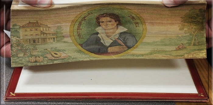 Портрет на краю страниц книги.