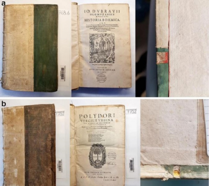 Почему стоит опасаться средневековых зелёных книг, которые до сих пор хранятся в библиотеках по всему миру
