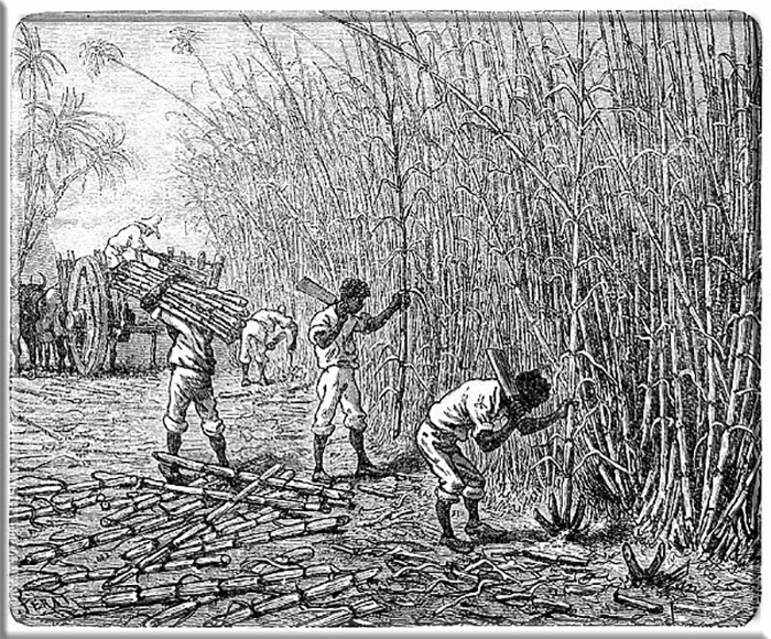 Как отказ от сахара в чае помог отменить рабство: Сахарный бойкот в Британии 18 века