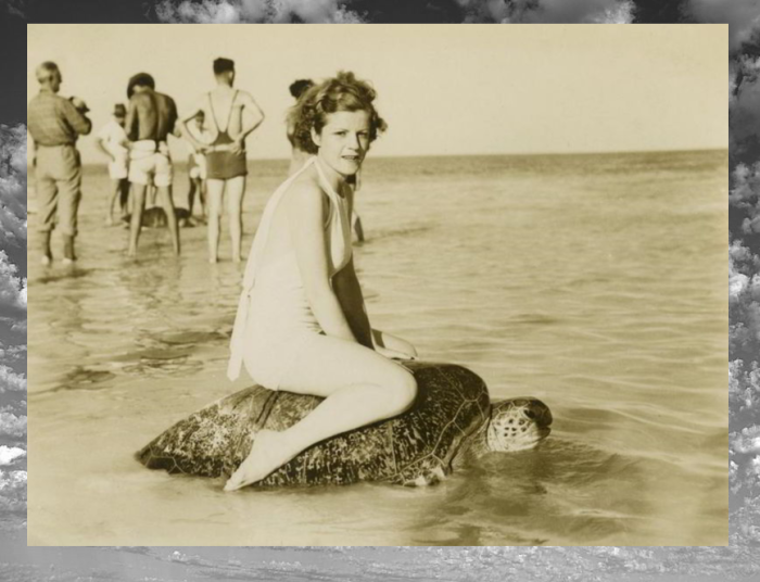 Как на пляжах Австралии катались на черепахах и почему эта забава больше не популярна