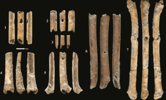 В Израиле найдены флейты возрастом 12 000 лет: О чем рассказали голоса древности