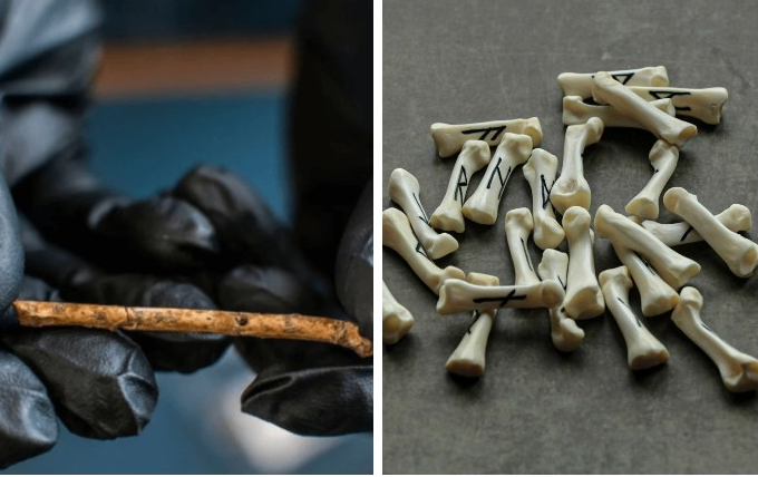 В Израиле найдены флейты возрастом 12 000 лет: О чем рассказали голоса древности