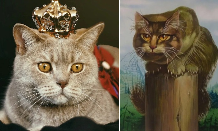 Почему на Руси с древних времен друг другу котов дарили: от крестьян до царей и цариц