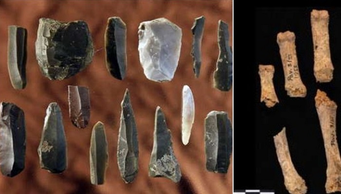 Какие секреты древних открыла палеолитическая стоянка давностью 30 000 лет в Чехии