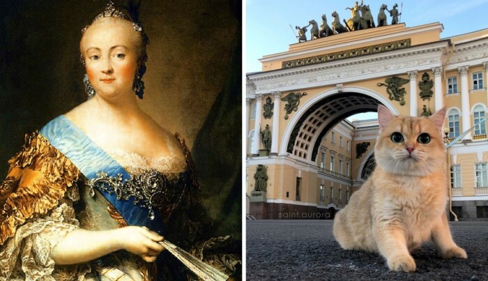 Как лошадь Петра I спасла ему жизнь, а коты Елизаветы II очистили дворец: Истории домашних животных российских императоров