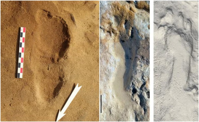 Отпечатки из далекого прошлого: следы рук и ступней неандертальцев, которые можно увидеть и сейчас