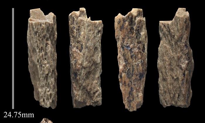 Отпечатки из далекого прошлого: следы рук и ступней неандертальцев, которые можно увидеть и сейчас