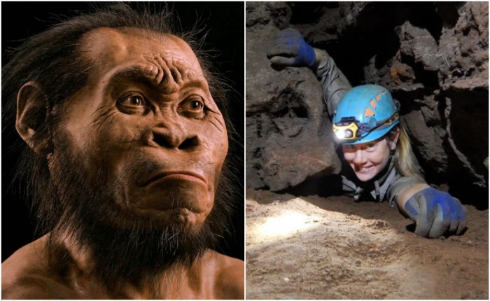 Как выглядел и что умел «кузен» человека разумного: В африканской пещере нашли неизвестный вид первобытных людей