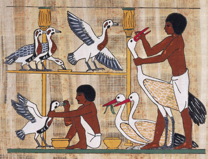 Как лакомство фараонов стало дорогим изыском современных ресторанов: История фуа-гра