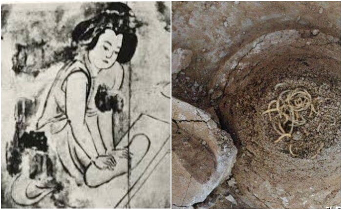 Лапша возрастом 4000 лет: блюдо, связывающее прошлое и настоящее Китая