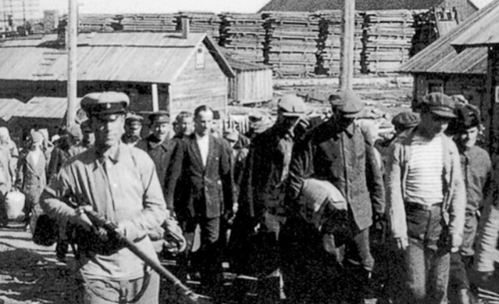 Как белый офицер смог сбежать из самого охраняемого лагеря на Соловках и выжить в тайге: Юрий Безсонов