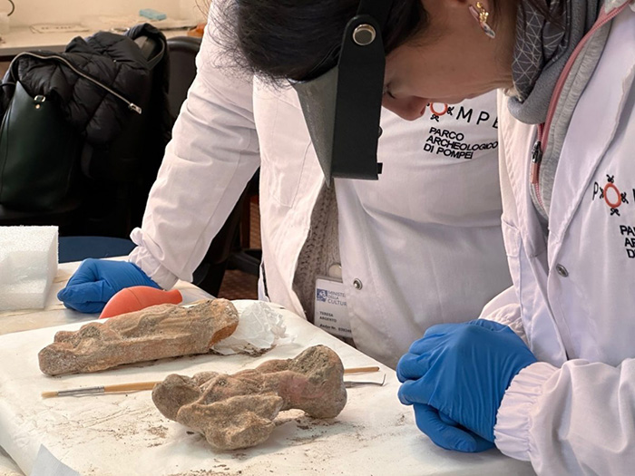 Чем поразили учёных 13 загадочных терракотовых статуэток, найденных недавно в Помпеях