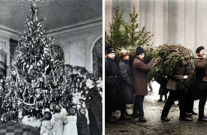 Как новогодняя елка стала традицией в российских домах: От императорских залов к детям рабочих и крестьян
