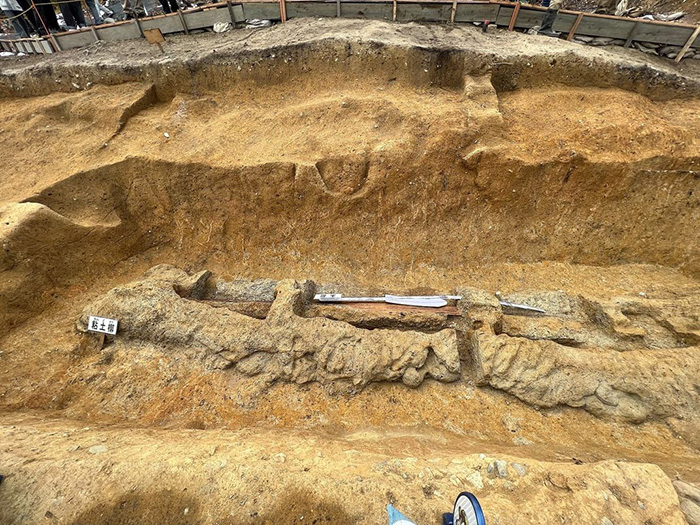 3000-летний меч, крылатый бык и ещё 20 древностей, которые были найдены в 2023 году и измеили взгляд на историю