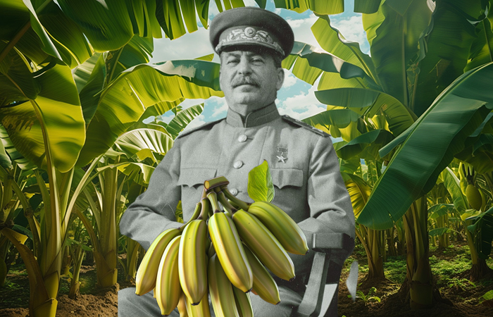 Как и зачем Сталин хотел изменить климат в СССР, и Что из этого вышло