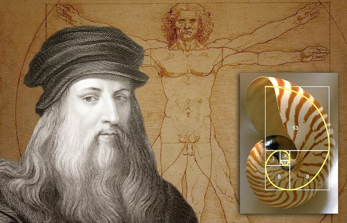 Самое важное число во Вселенной: что такое золотое сечение и как люди научились его использовать