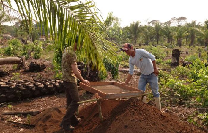 Как в лесах Амазонки нашли древний город-сад с «черным золотом» (и это не нефть)