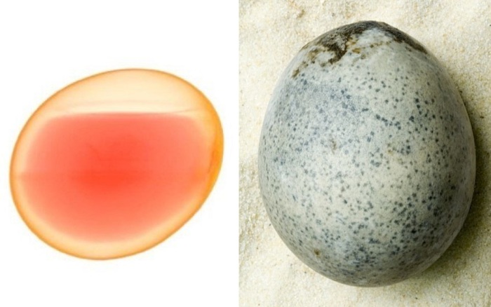 О чём рассказало учёным английское яйцо, которому 1700 лет и в котором до сих пор есть желток