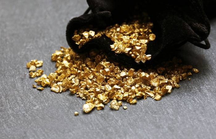 Как жили и работали золотоискатели, и Кто быстрее богател на золотых рудниках