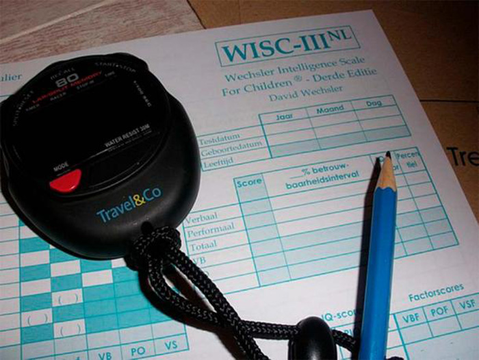 Как наши предки измеряли интеллект и какими были первые в истории IQ-тесты