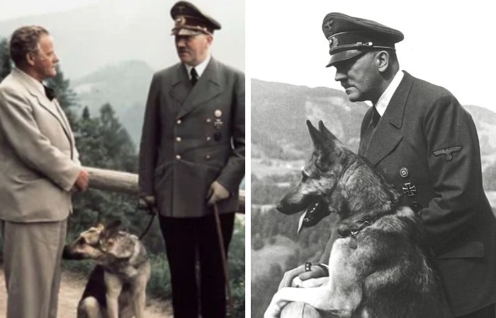 Был ли богат Гитлер, и Что стало с его квартирой, имуществом и сбережениями после войны