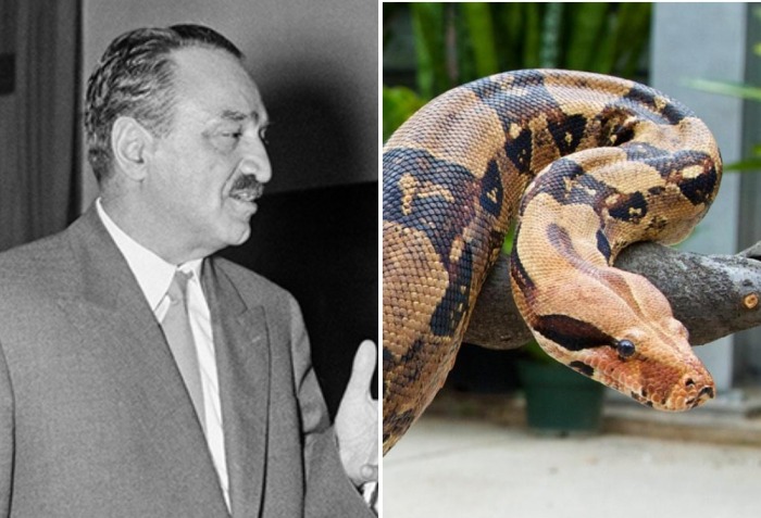 Вожди советские, а еда – нет: интересные факты о вкусовых пристрастиях высших чинов СССР